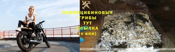 шишки Алексеевка