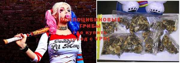 спайс Алзамай
