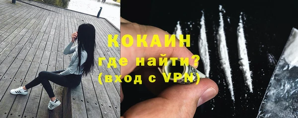 спайс Алзамай