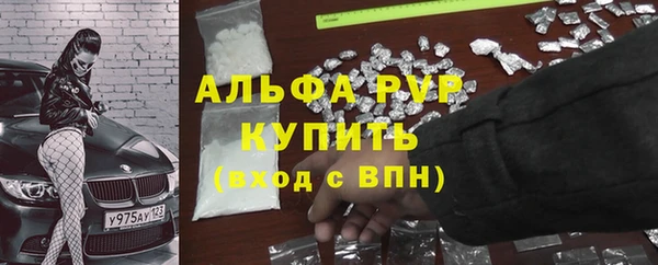 спайс Алзамай
