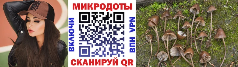 Псилоцибиновые грибы GOLDEN TEACHER закладки Бабаево